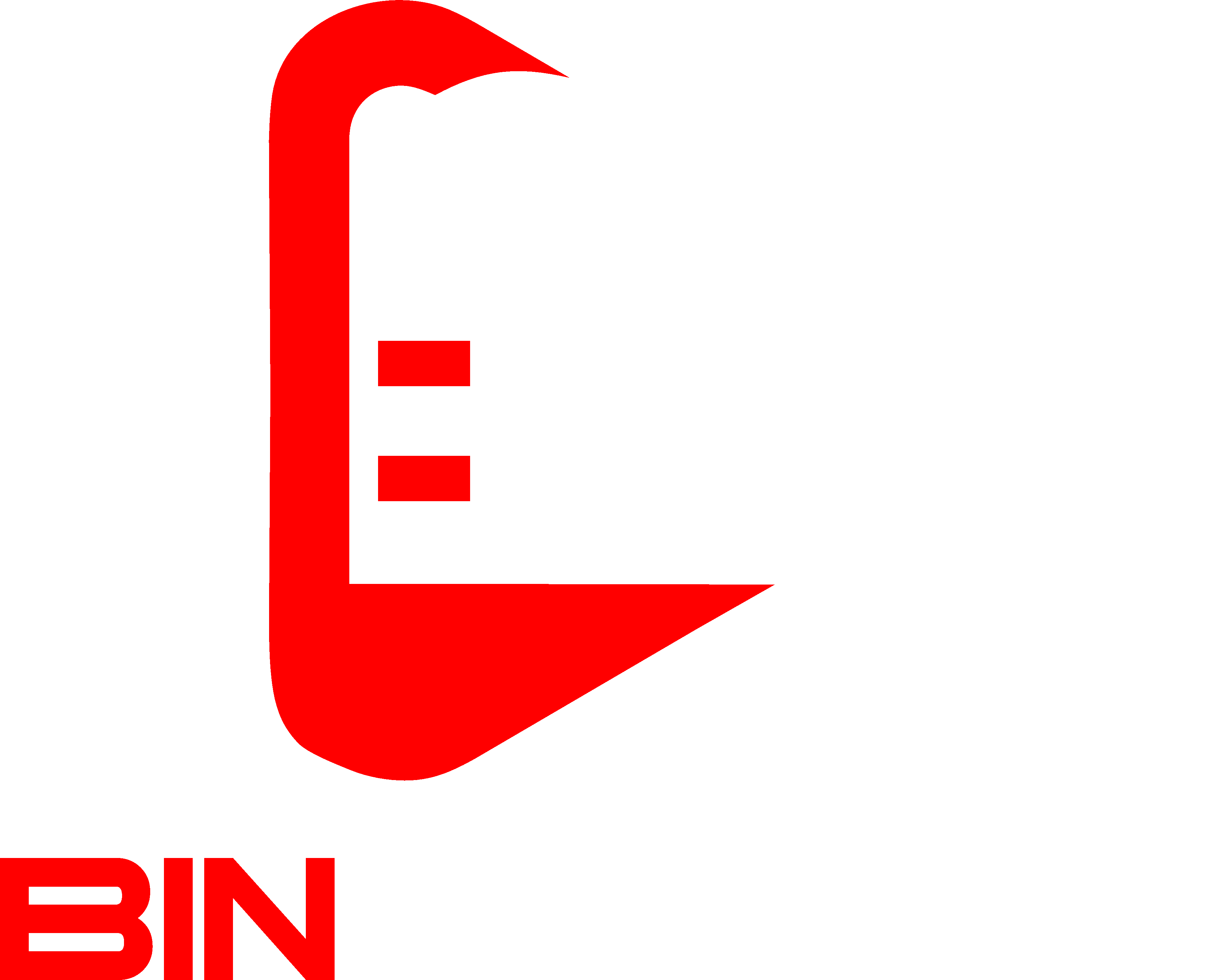 BIN Studio Logo