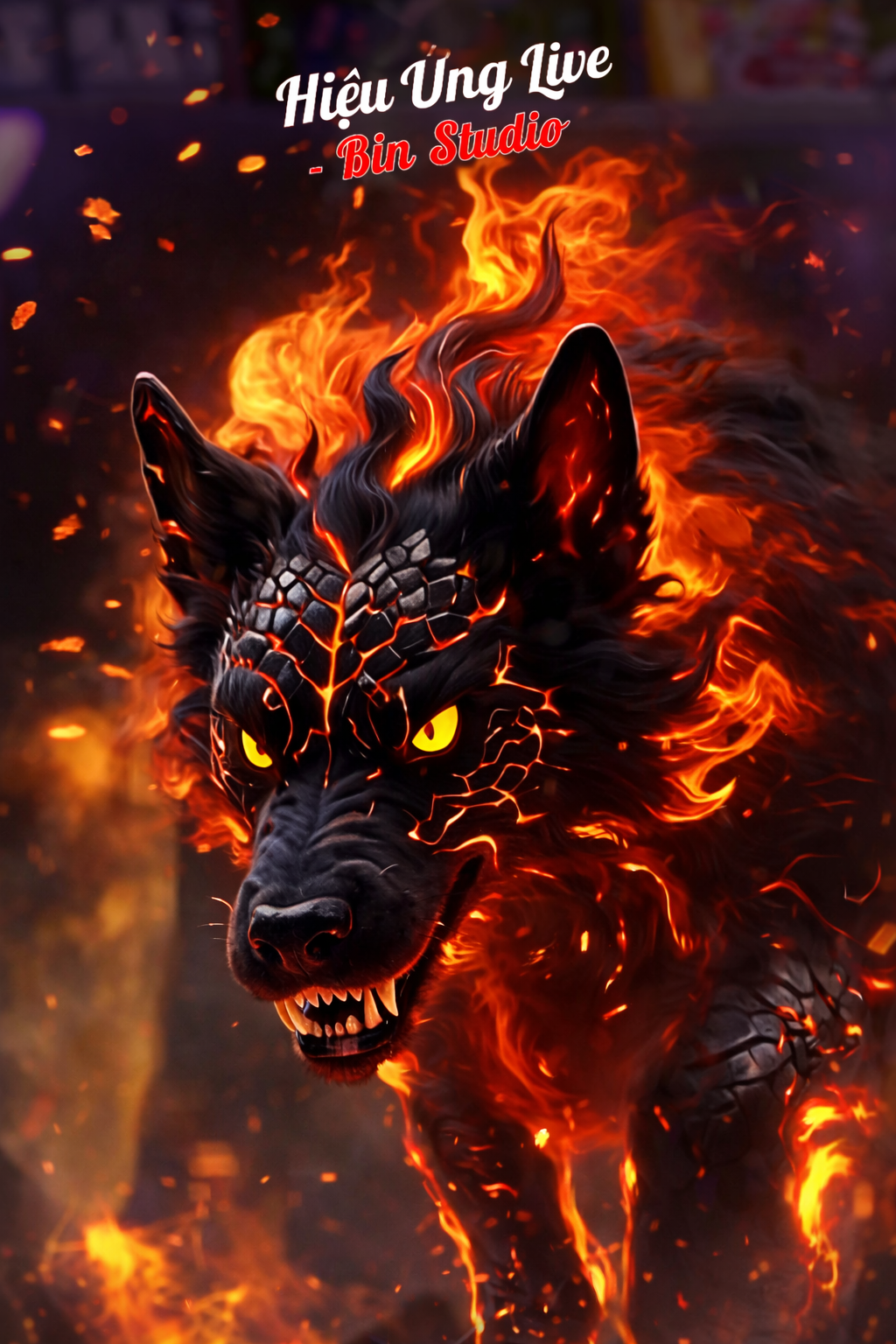 HIỆU ỨNG USER CHÓ 01